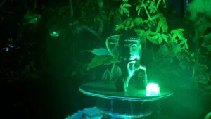 mua thác nước để bàn cho nhà sách khu đọc yên tĩnh