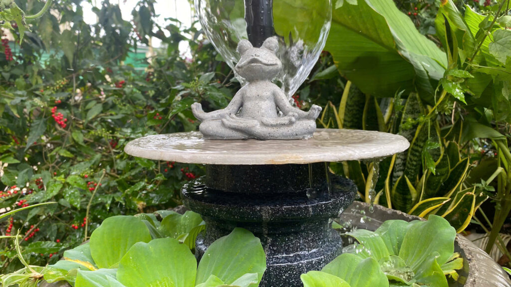 đội ngũ set-up tại HN/HCM theo lịch hẹn