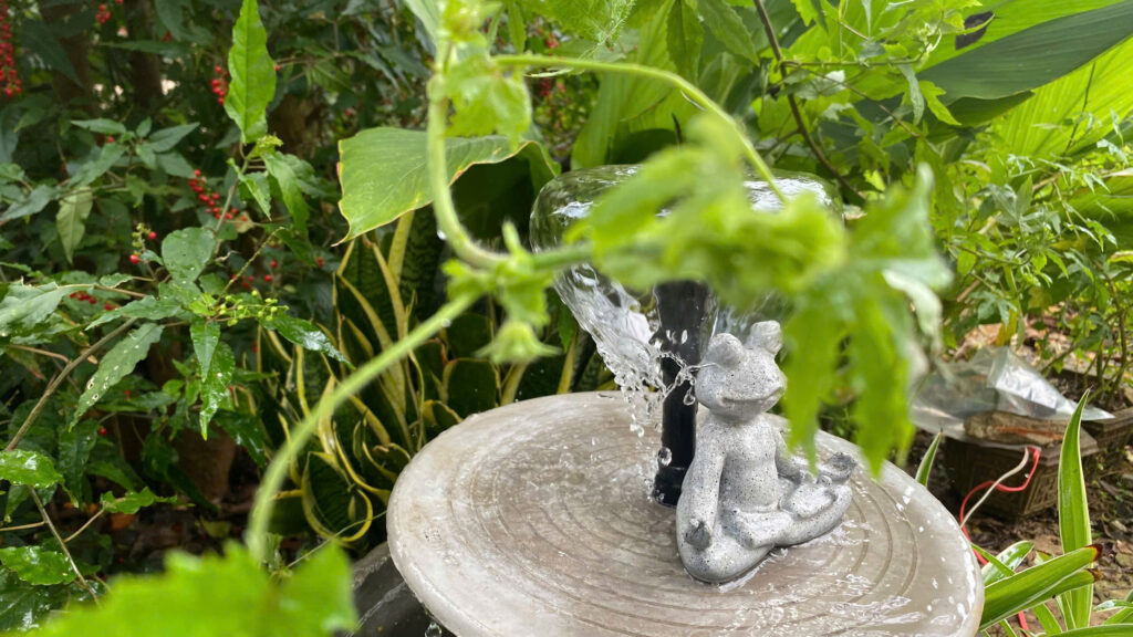 hướng dẫn set up đài phun nước để bàn cho thiền sáng 5 phút hiệu quả