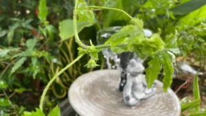 đặt gần kệ best-seller làm điểm dừng mắt