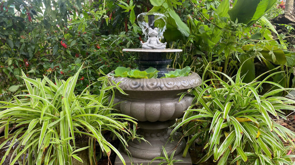 hướng dẫn kết hợp thảm âm thanh với đài phun nước để bàn khi thiền giảm vang phòng